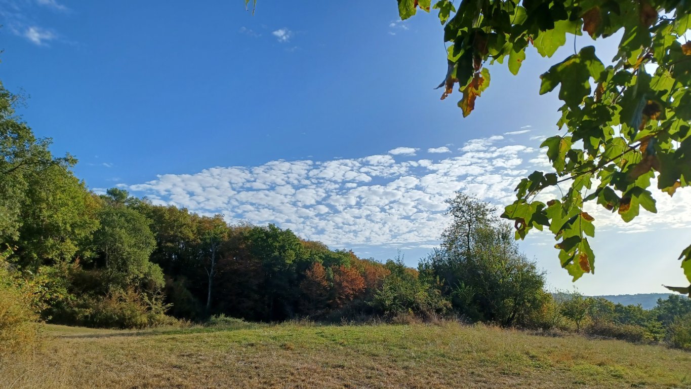 SF 20231013 094630