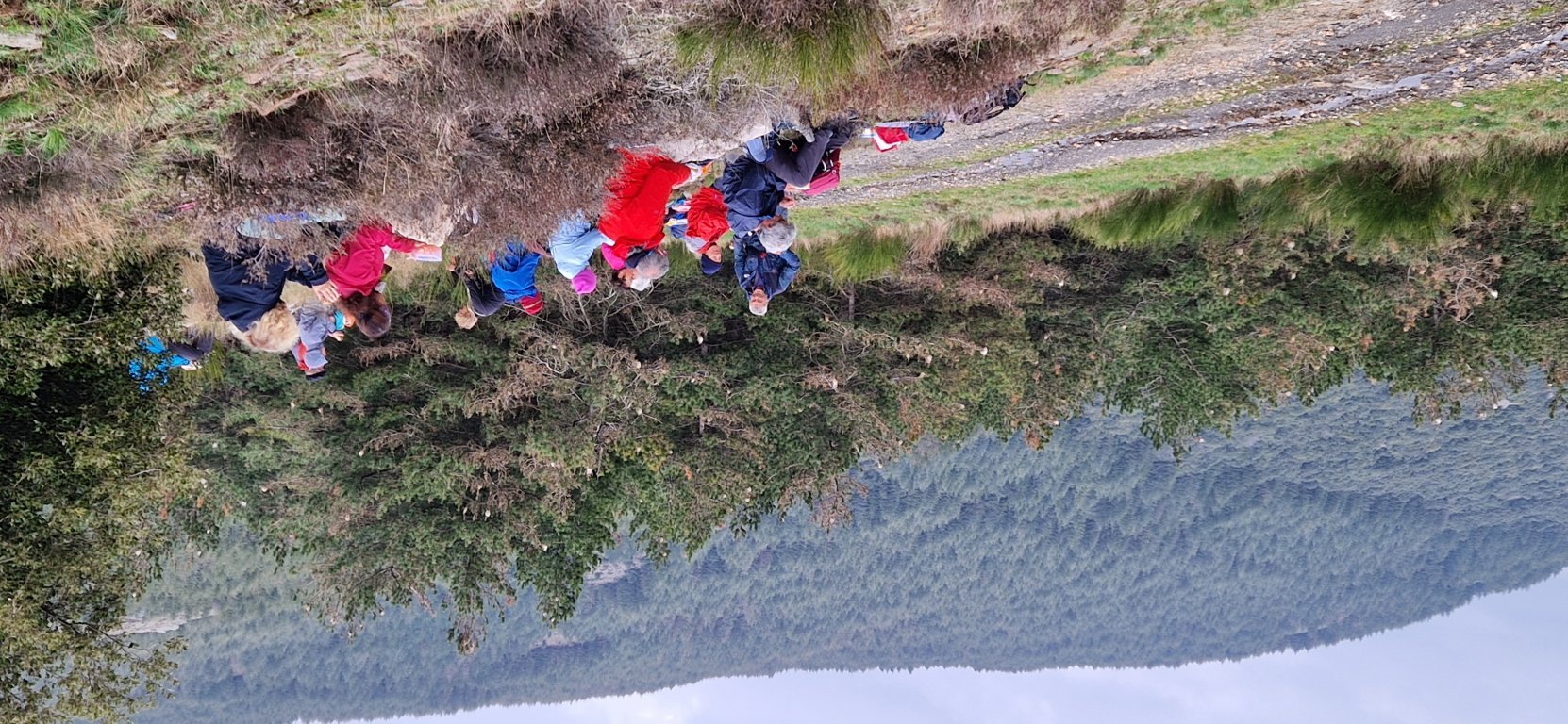 SF 20250327 122950
