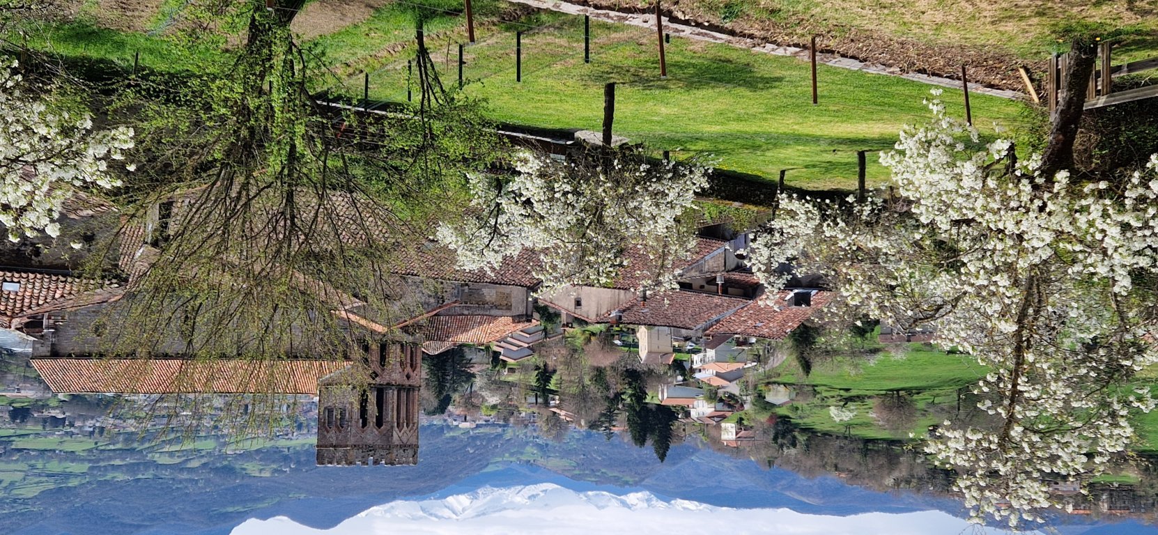 SF 20250403 152809